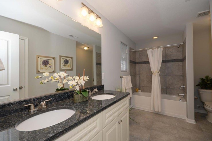 Model homes master bath Model homes master bath