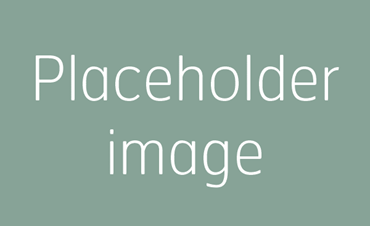 Main Image Placeholder